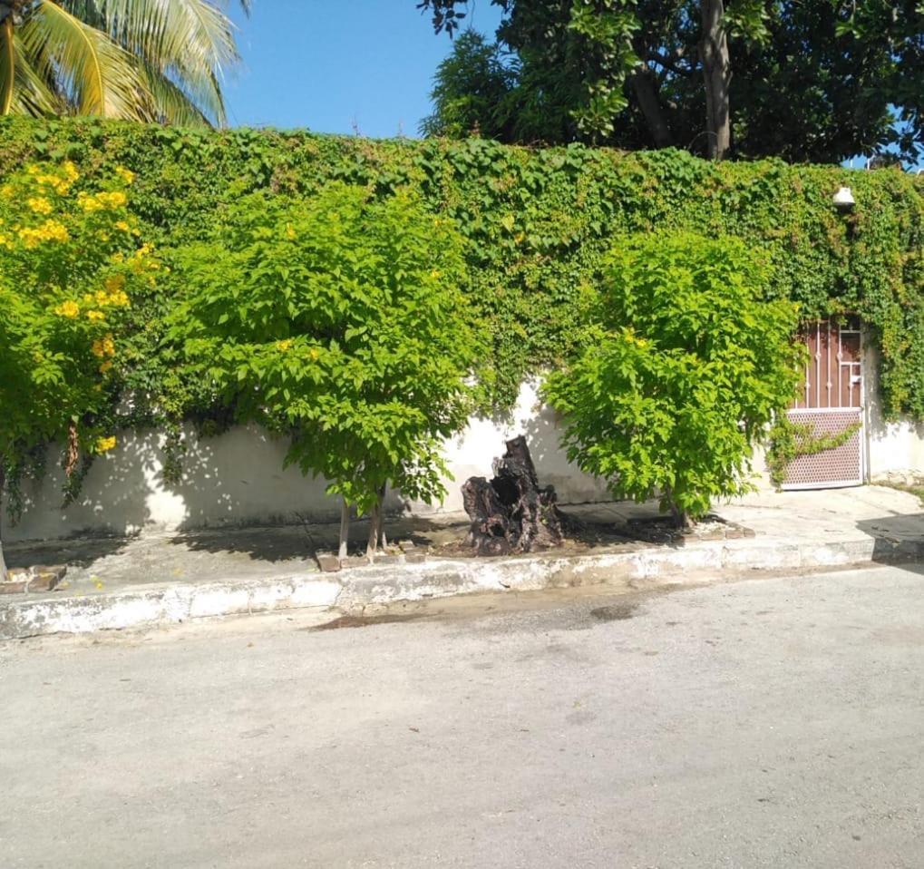 Vila Bonita Casa A Dos Cuadras Del Mar Playa del Carmen Exteriér fotografie